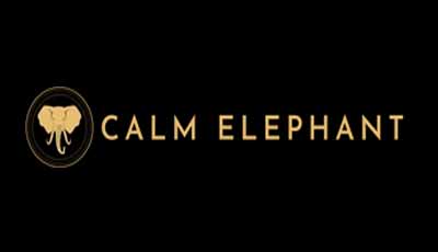 CALM ELEPHANT